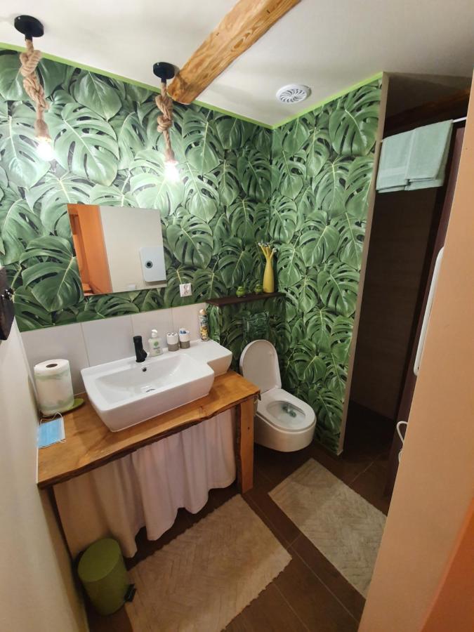 Siedlisko Odpoczynkowo Villa Nowosiolki  Exterior foto