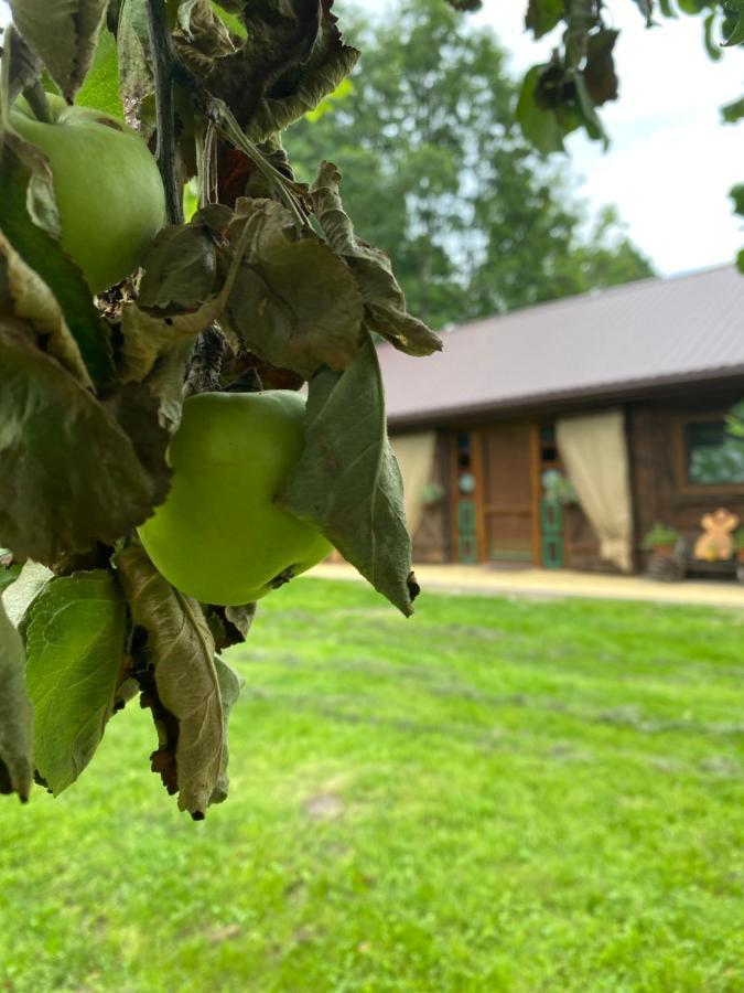 Siedlisko Odpoczynkowo Villa Nowosiolki  Exterior foto